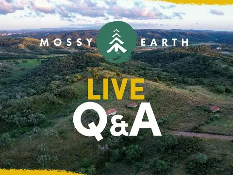 Mossy Earth's 2026 Plans: Rewilding, Permitting Challenges, and Community Engagement