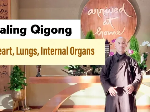 Daily Qigong Routine for Heart Lungs and Internal Organ Health
