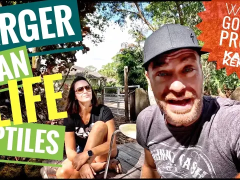 Personality Camp Explained Clearly