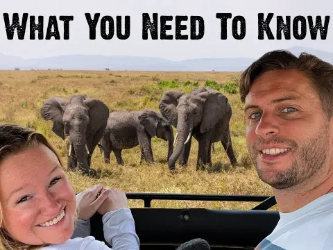 Essential African Safari Tips for First Timers
