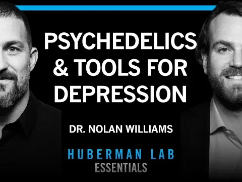 How Psychedelics and Brain Stimulation Rewire Neural Circuits for Depression