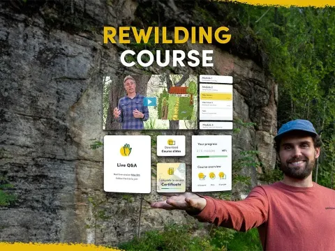 Introducing a New Rewilding Course to Help You Get Involved in Nature Restoration