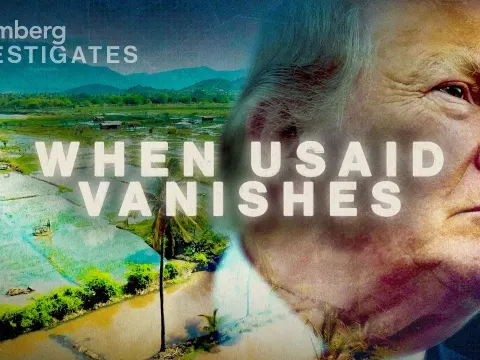 There Usaid Features and What to Know