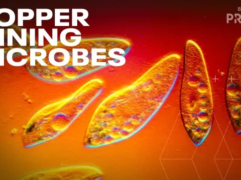 How Microbes Could Help Meet the World's Growing Copper Demand