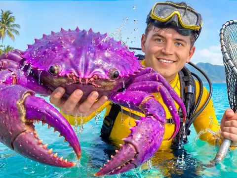 Tasting the World's Most Exotic Foods from Pink Bananas to Rare Lobsters