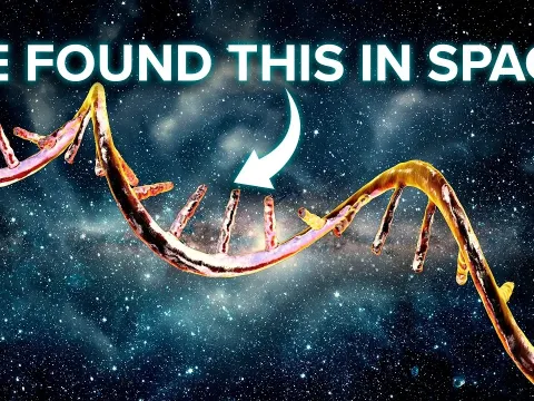 Dna Space and the Science Behind It