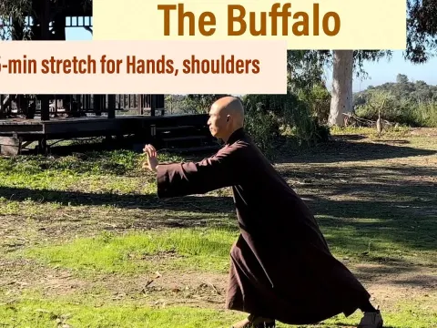 Qigong Buffalo Stretch for Hands and Shoulders: A 5-Minute Morning Routine
