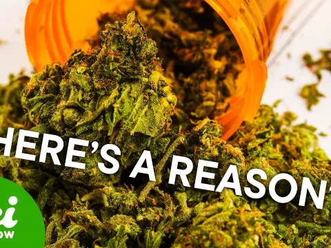 Why Some People Never Get High From Marijuana Despite Large Doses