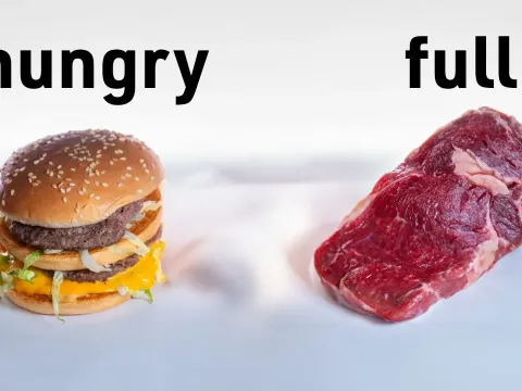 Why Your Body Craves More Protein Than You Think