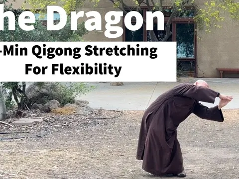 Dragon Qigong Stretching Routine for Spine and Back Health