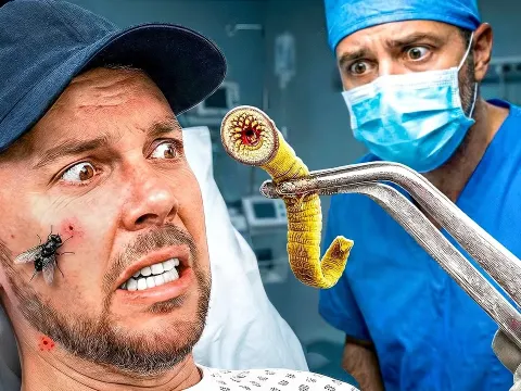 The Most Dangerous Insects That Send People to the Hospital