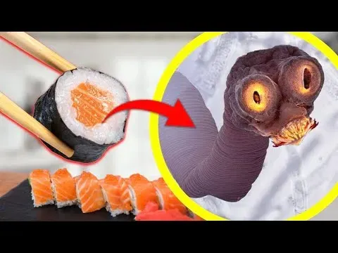 The Hidden Danger in Your Sushi Parasites That Can Infect Your Body