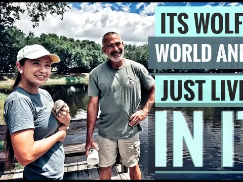 Exploring a Massive Private Reptile Collection and Breeding Facility