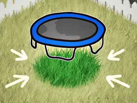 The Surprising Reason Grass Thrives Under Trampolines