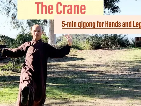Qigong Crane Exercise for Hand and Leg Relaxation