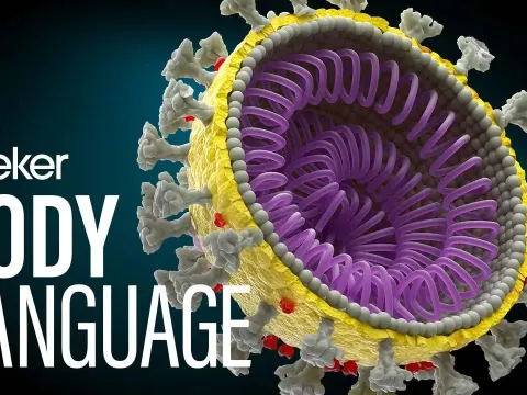How COVID-19 Disrupted Cancer Screenings and What Vaccines Mean for Patients