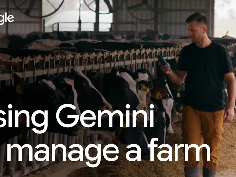 You Gemini and the Market Impact