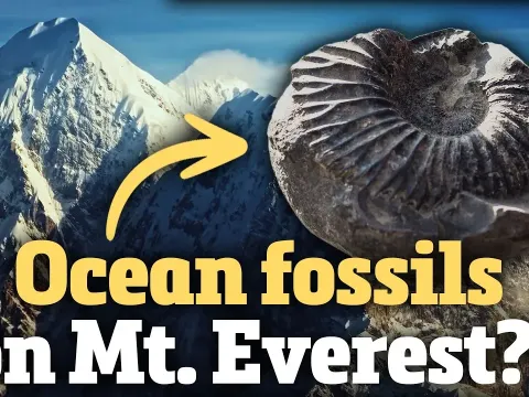 How Tectonic Forces Build Mountains and Shape Earth's Landscape