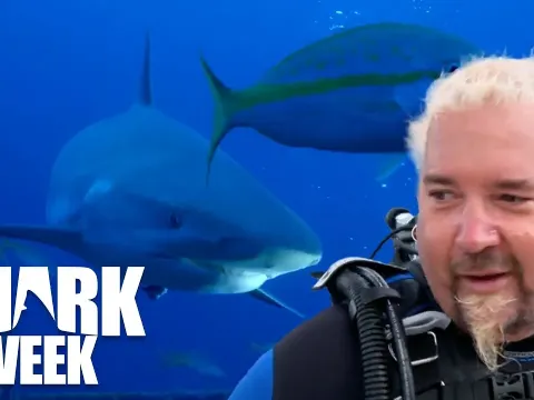 Shark Week's Most Memorable Moments Featuring Guy Fieri and Shaq