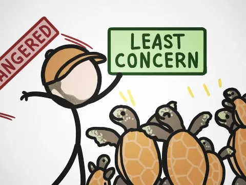 Green Sea Turtles Defy Extinction Odds as Conservation Success Offers Lessons for Other Species