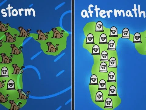 Hurricane Maria's Hidden Toll on Monkeys and Humans